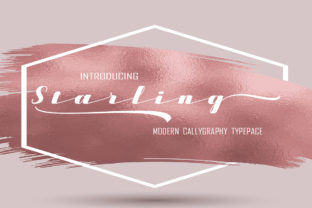 Starling Font: A Designer’s Take on Modern Calligraphy