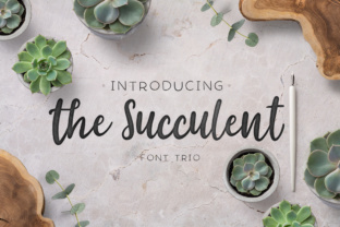The Succulent Trio Font for Modern Web Design