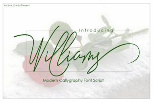 Williams Font: Elevating Digital Brand Identity