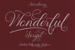 Wonderful Font Review: Elevating Campaign Visuals